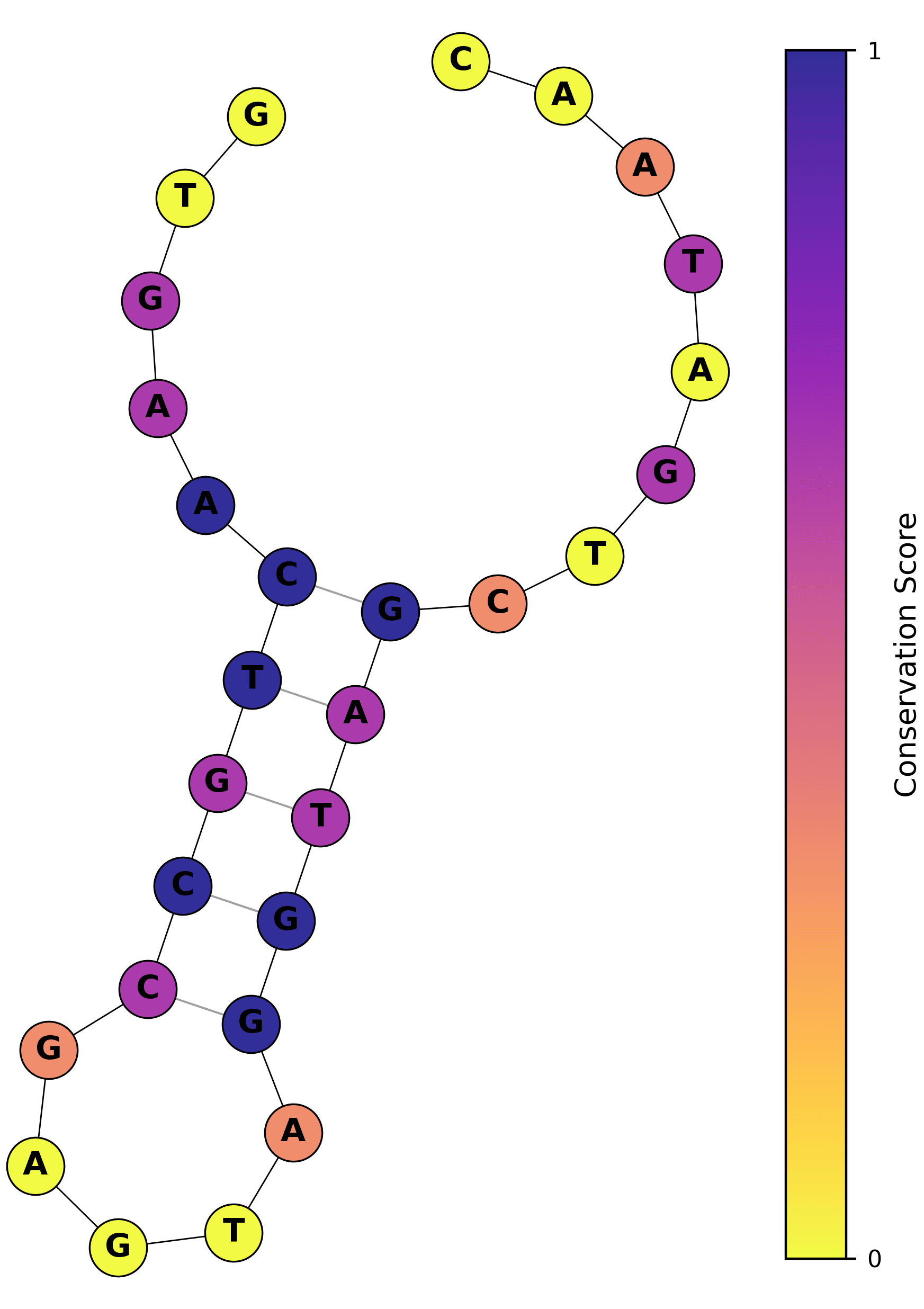Secondary structure conservation